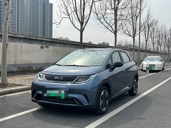 Фото 1 - BYD Dolphin