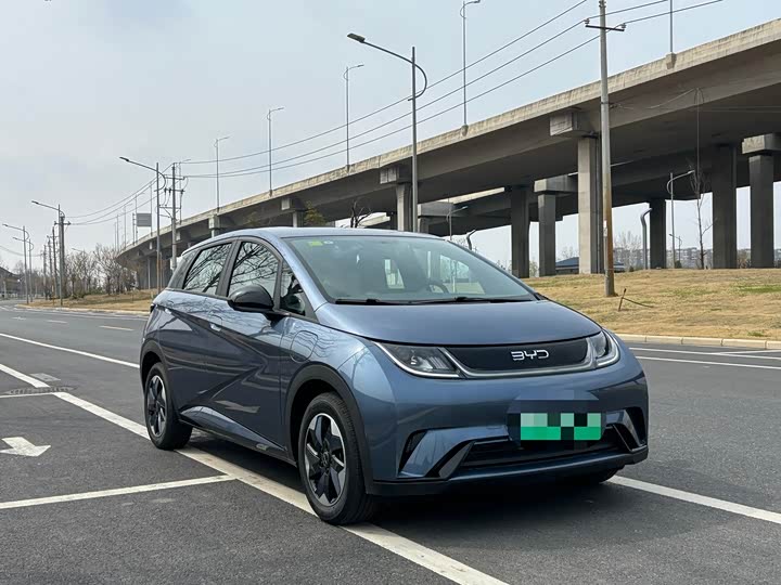 Фото 3 - BYD Dolphin