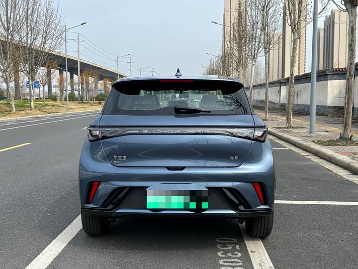 Фото 8 - BYD Dolphin