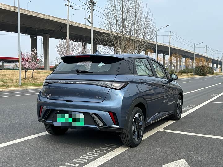 Фото 9 - BYD Dolphin