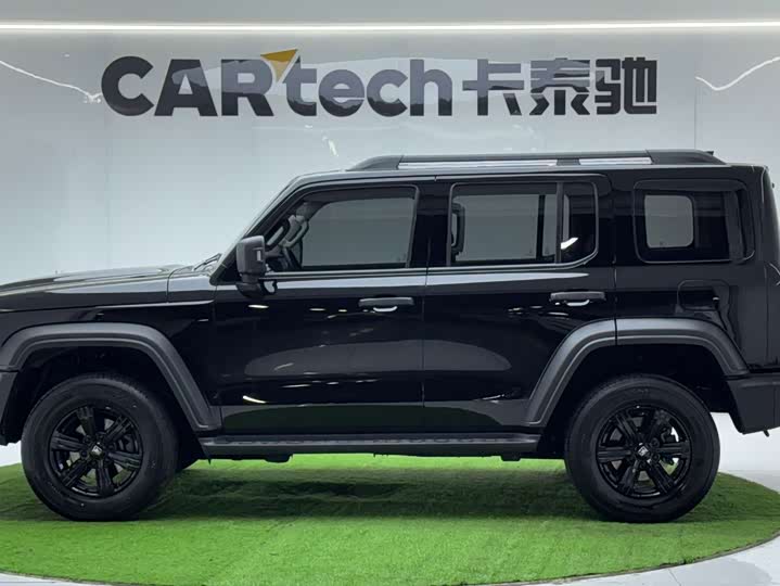 Фото 2 - Tank 300