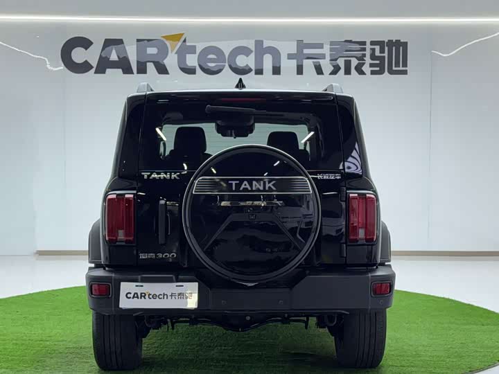 Фото 5 - Tank 300