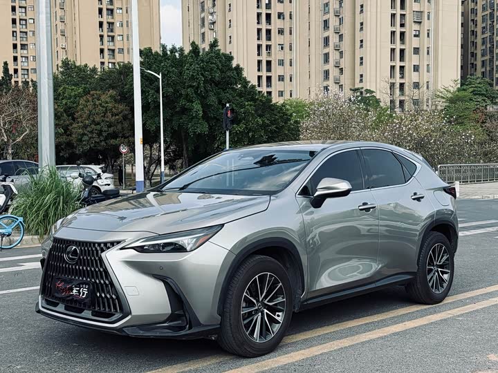 Фото 1 - Lexus NX