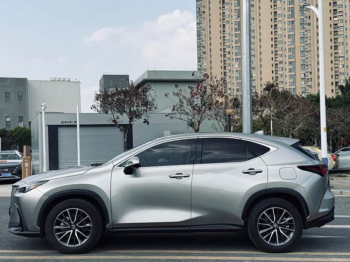 Фото 8 - Lexus NX