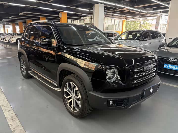 Фото 3 - Haval Dargo