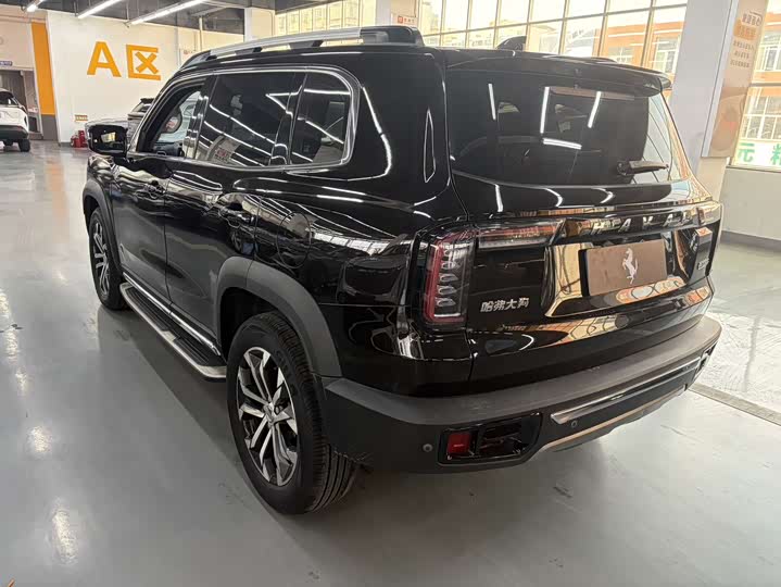 Фото 8 - Haval Dargo