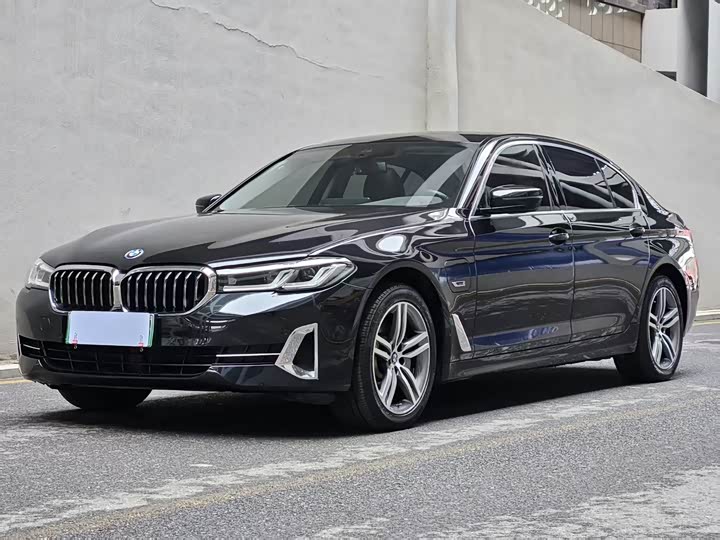 Фото 1 - BMW 5 Series Hybrid