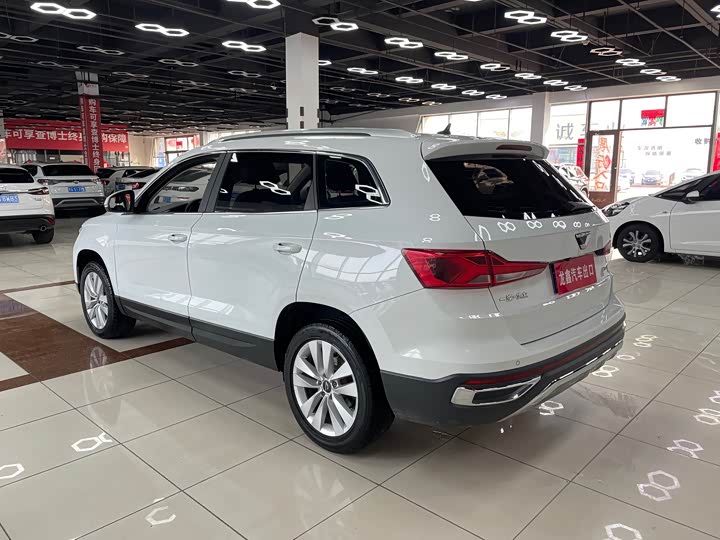 Фото 7 - Jetta VS7