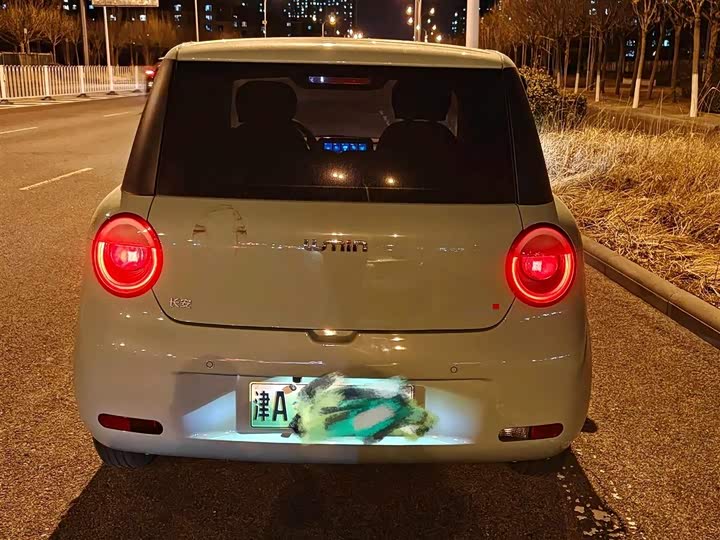 Фото 9 - Changan Qiyuan (Nevo) Lumin