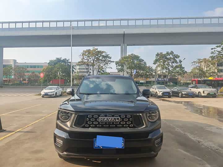 Фото 3 - Haval H-Dog