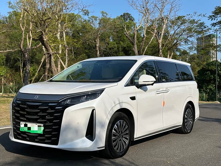 Фото 1 - BYD Xia