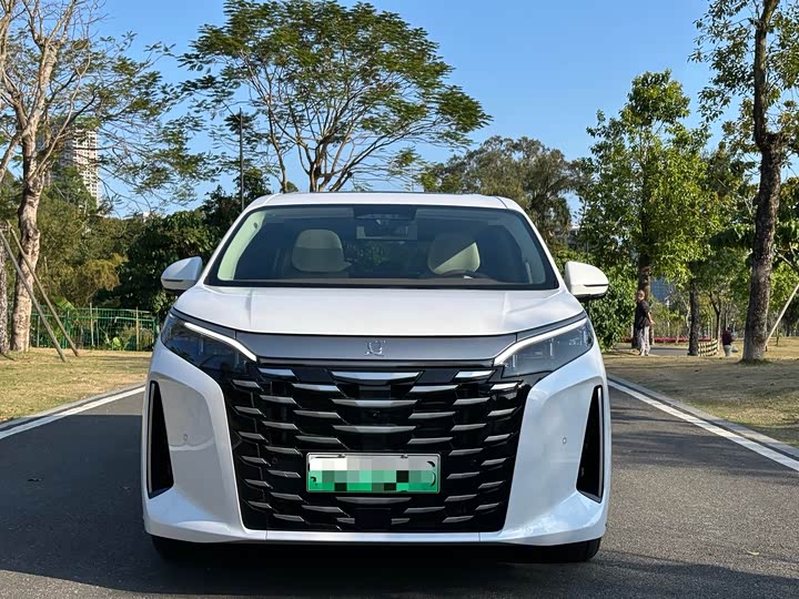 Фото 2 - BYD Xia