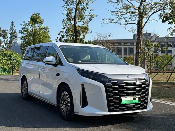 Фото 3 - BYD Xia