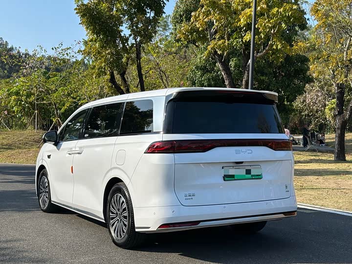 Фото 7 - BYD Xia