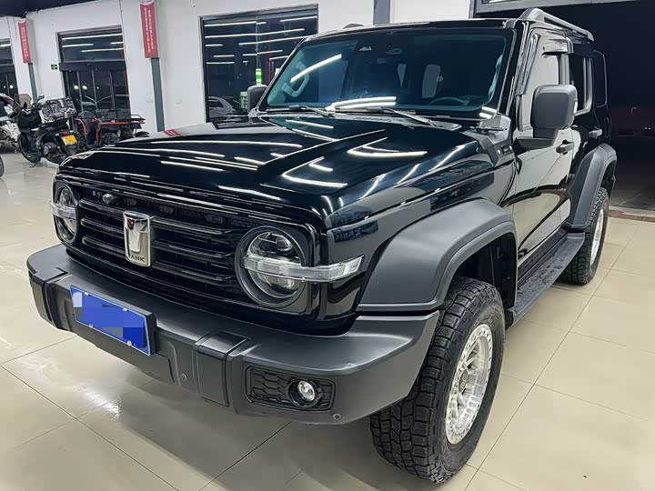 Фото 1 - Tank 300