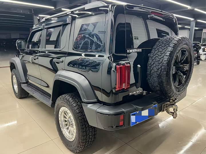 Фото 3 - Tank 300