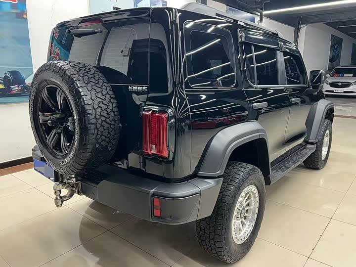 Фото 4 - Tank 300