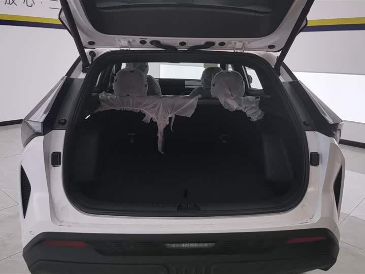 Фото 4 - Geely Atlas