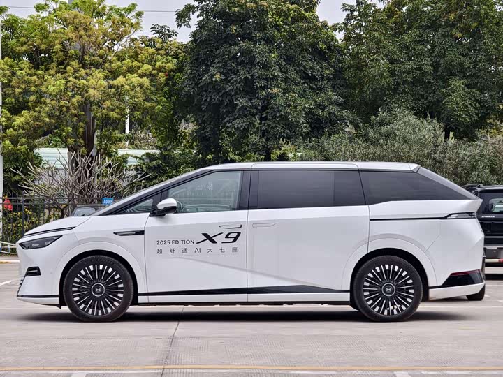 Фото 3 - XPeng X9