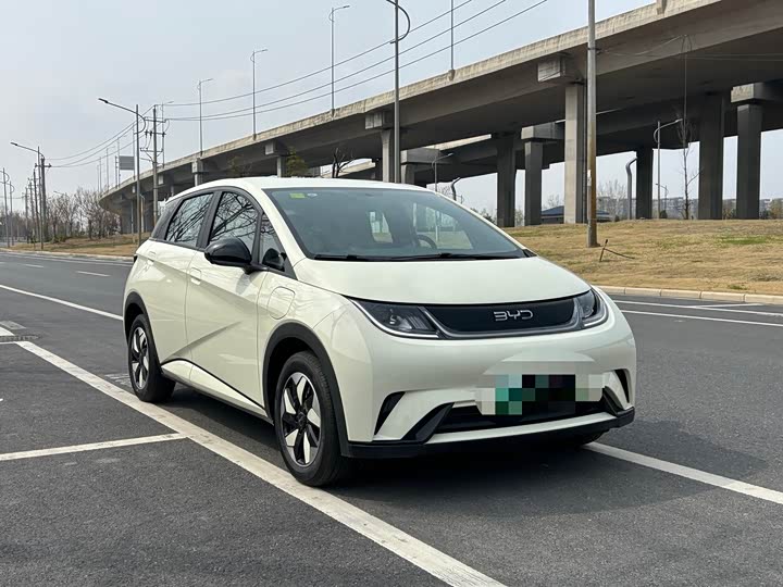 Фото 1 - BYD Dolphin