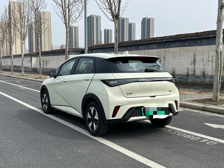 Фото 9 - BYD Dolphin