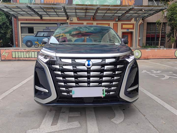 Фото 2 - Denza D9