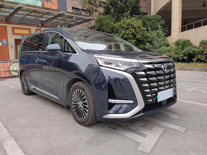 Фото 3 - Denza D9