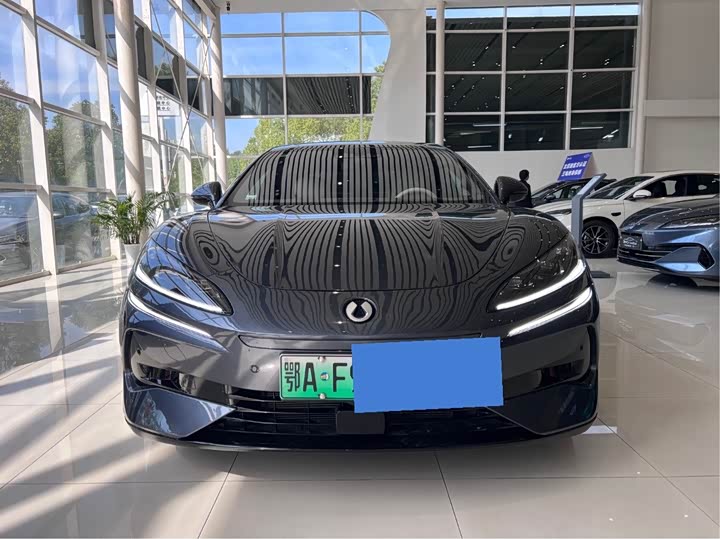 Фото 2 - Denza Z9