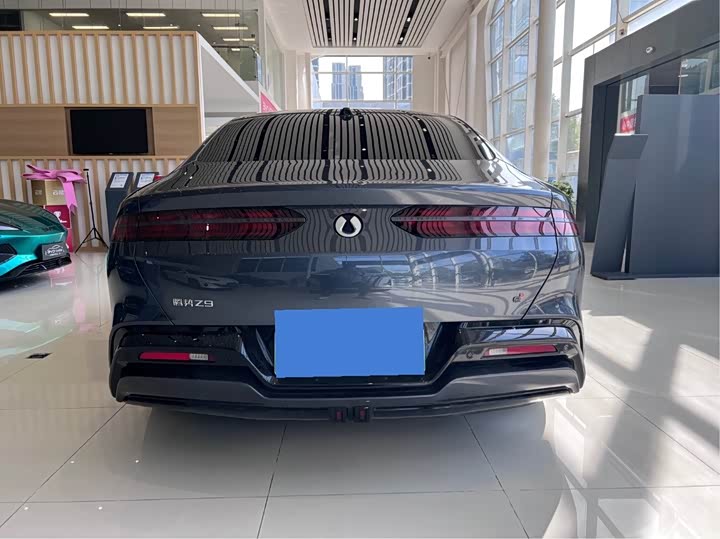 Фото 7 - Denza Z9