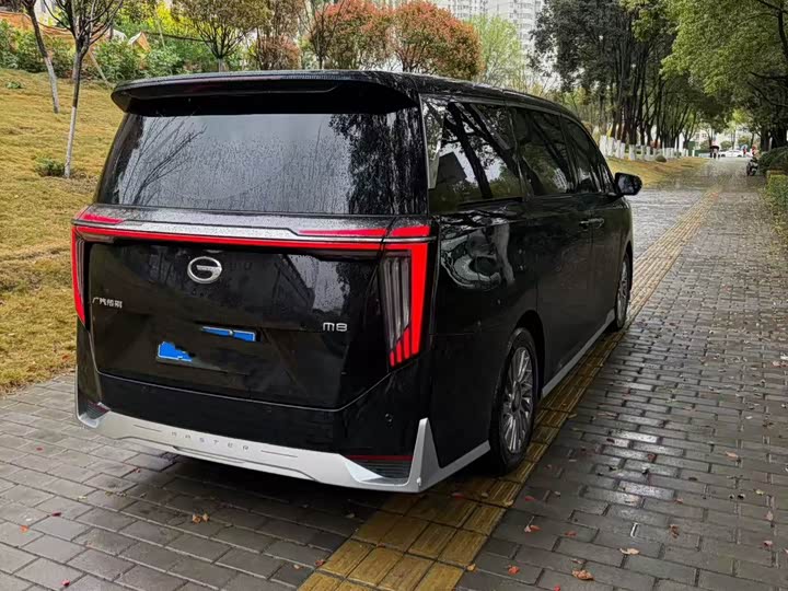 Фото 7 - GAC Trumpchi M8