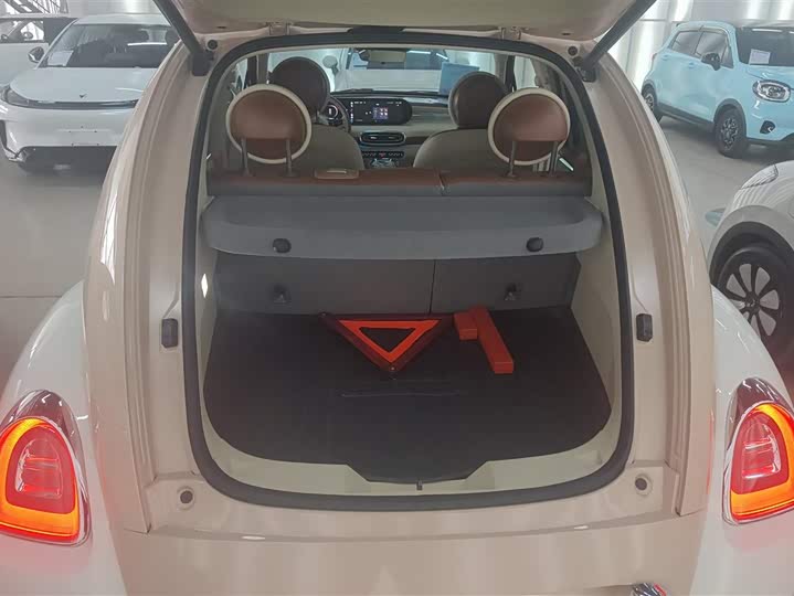 Фото 4 - Ora Ballet Cat