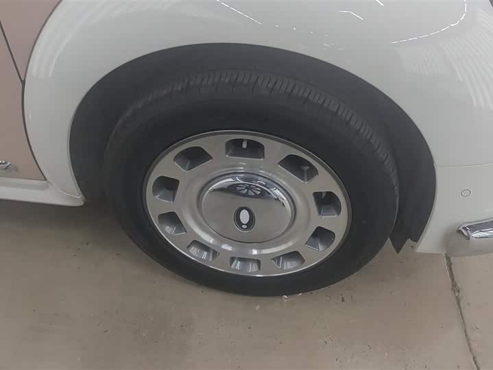 Фото 6 - Ora Ballet Cat