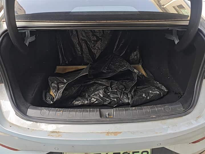 Фото 4 - BYD Qin Plus