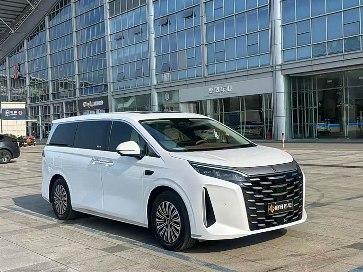 Фото 3 - BYD Xia