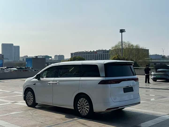 Фото 4 - BYD Xia