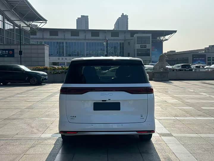 Фото 6 - BYD Xia