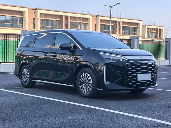 Фото 5 - BYD Xia