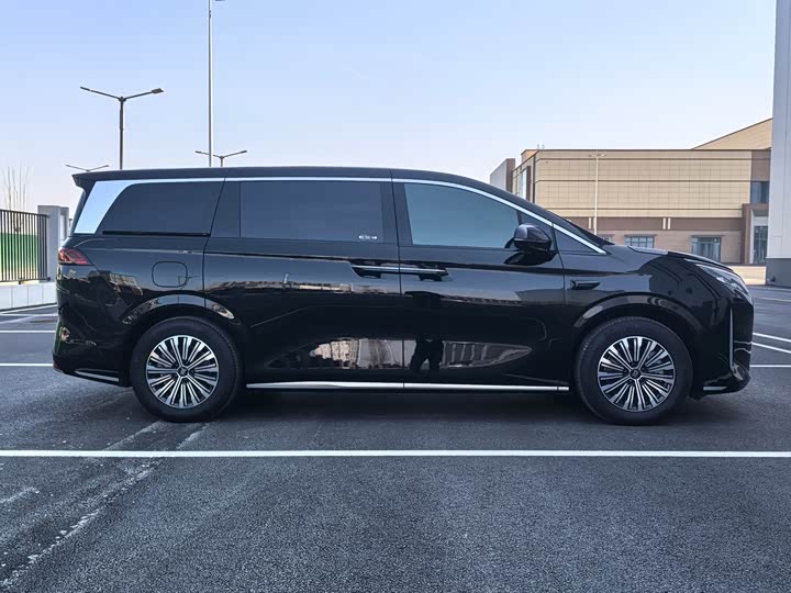 Фото 6 - BYD Xia