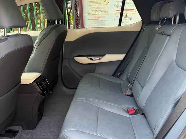 Фото 6 - Lexus RZ