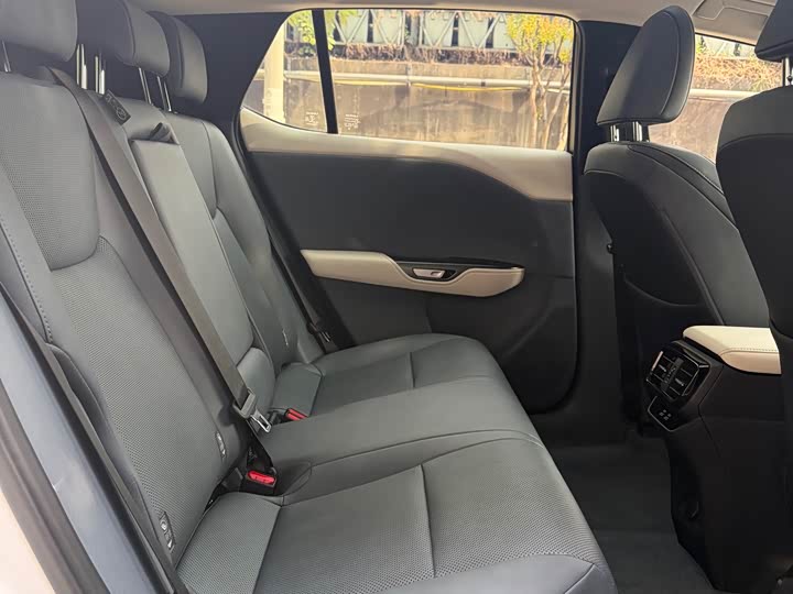 Фото 9 - Lexus RZ