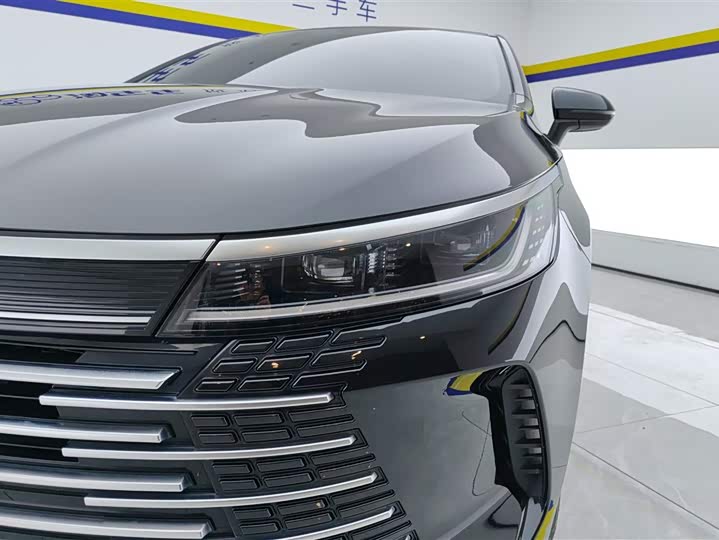 Фото 5 - BYD Destroyer 05