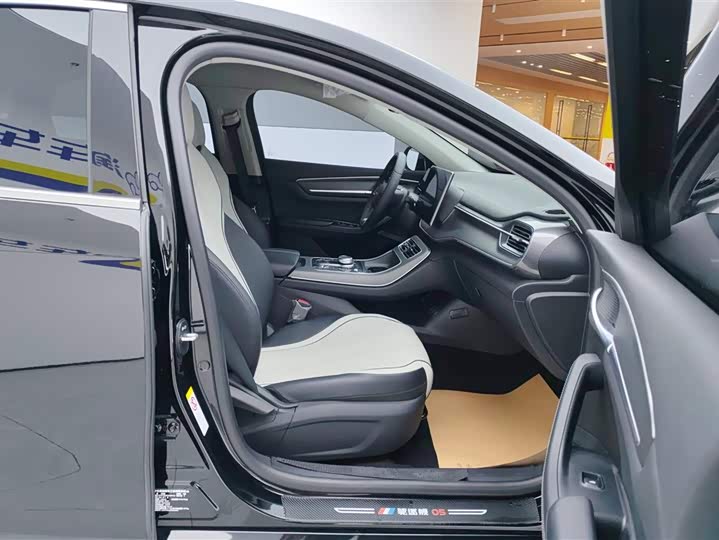 Фото 8 - BYD Destroyer 05