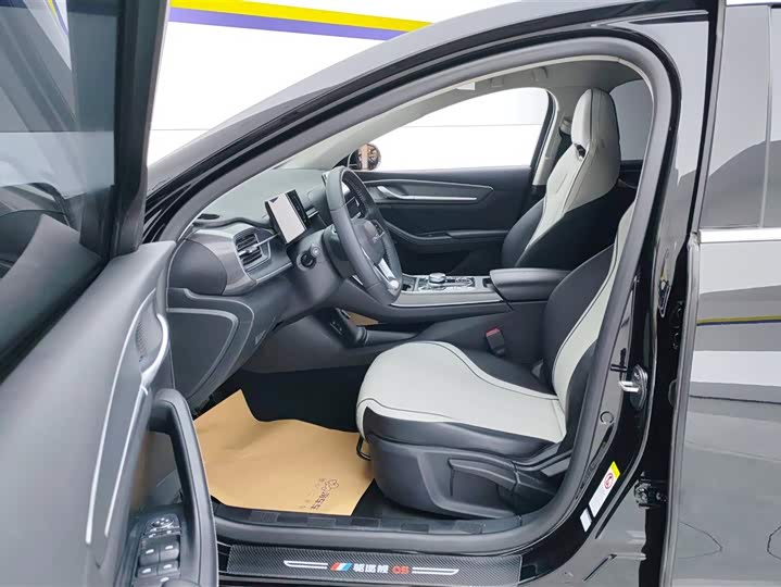 Фото 9 - BYD Destroyer 05