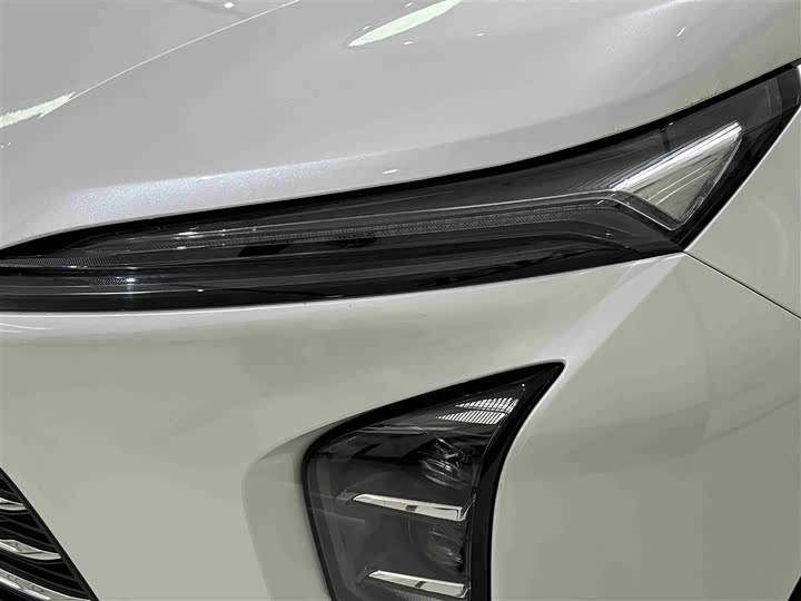 Фото 2 - Buick GL8 ES