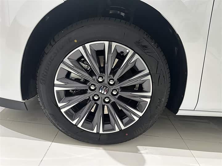 Фото 5 - Buick GL8 ES