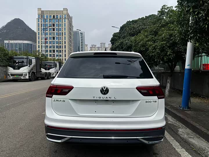 Фото 8 - Volkswagen Tiguan L Pro