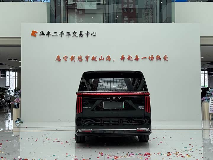 Фото 5 - Wey Gaoshan