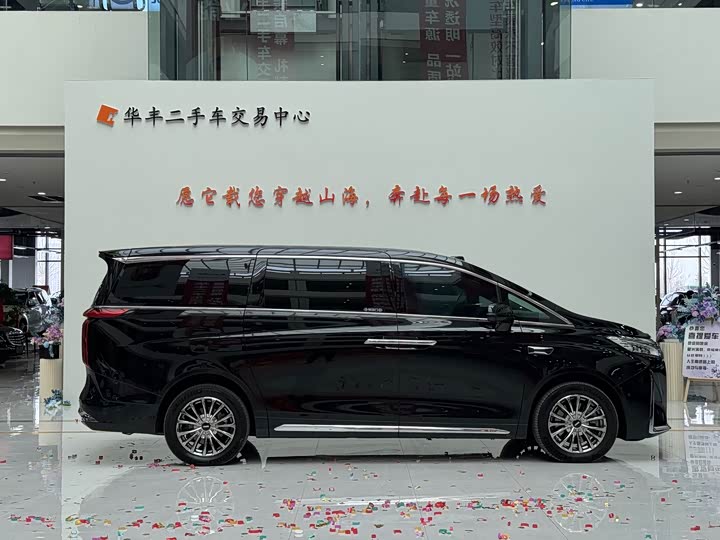 Фото 7 - Wey Gaoshan