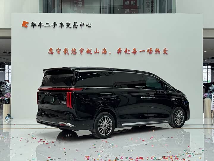 Фото 8 - Wey Gaoshan