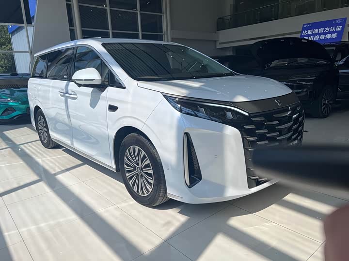 Фото 3 - BYD Xia